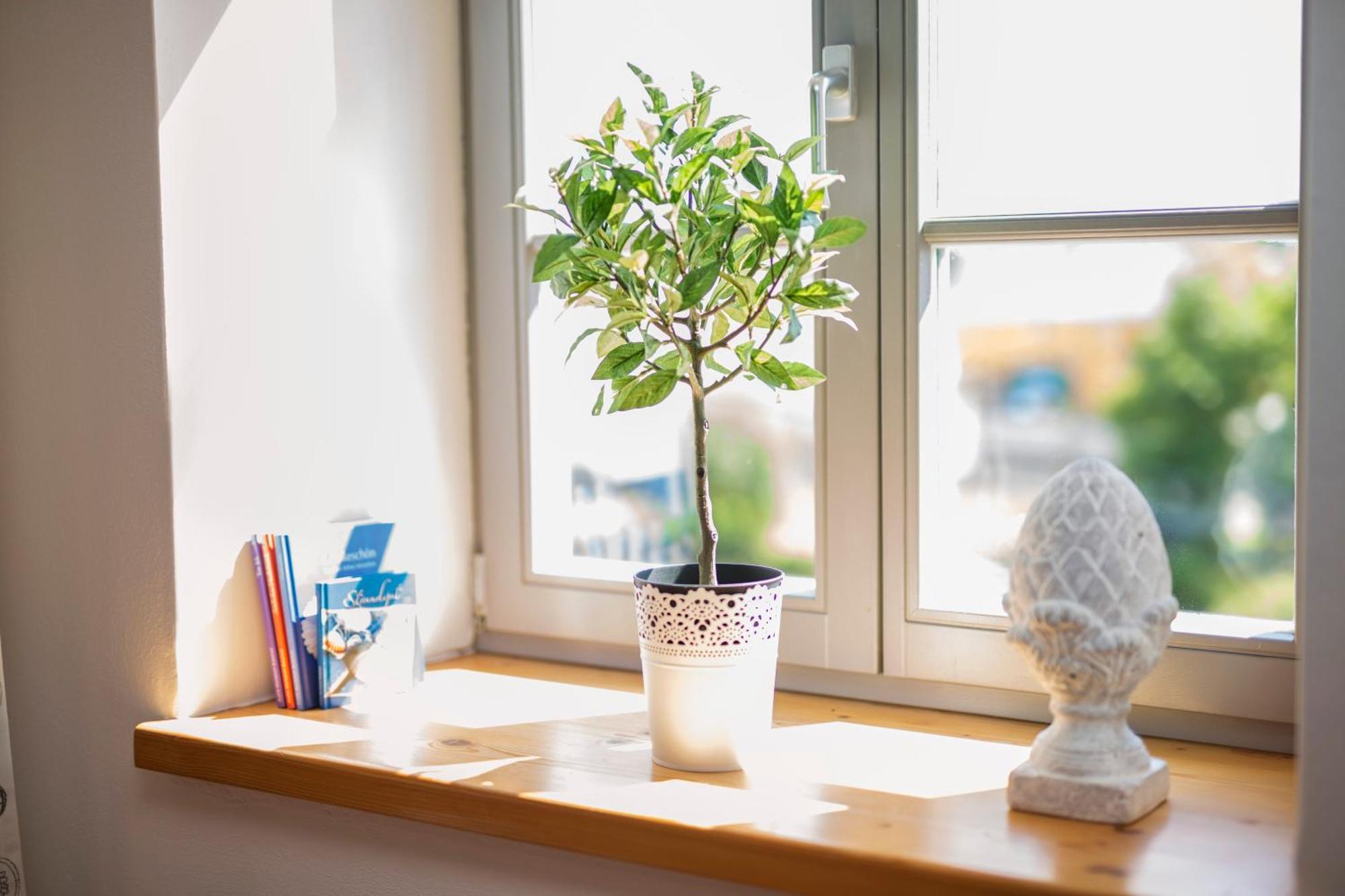 Apartmán Landgut Mosch Radeburg Exteriér fotografie